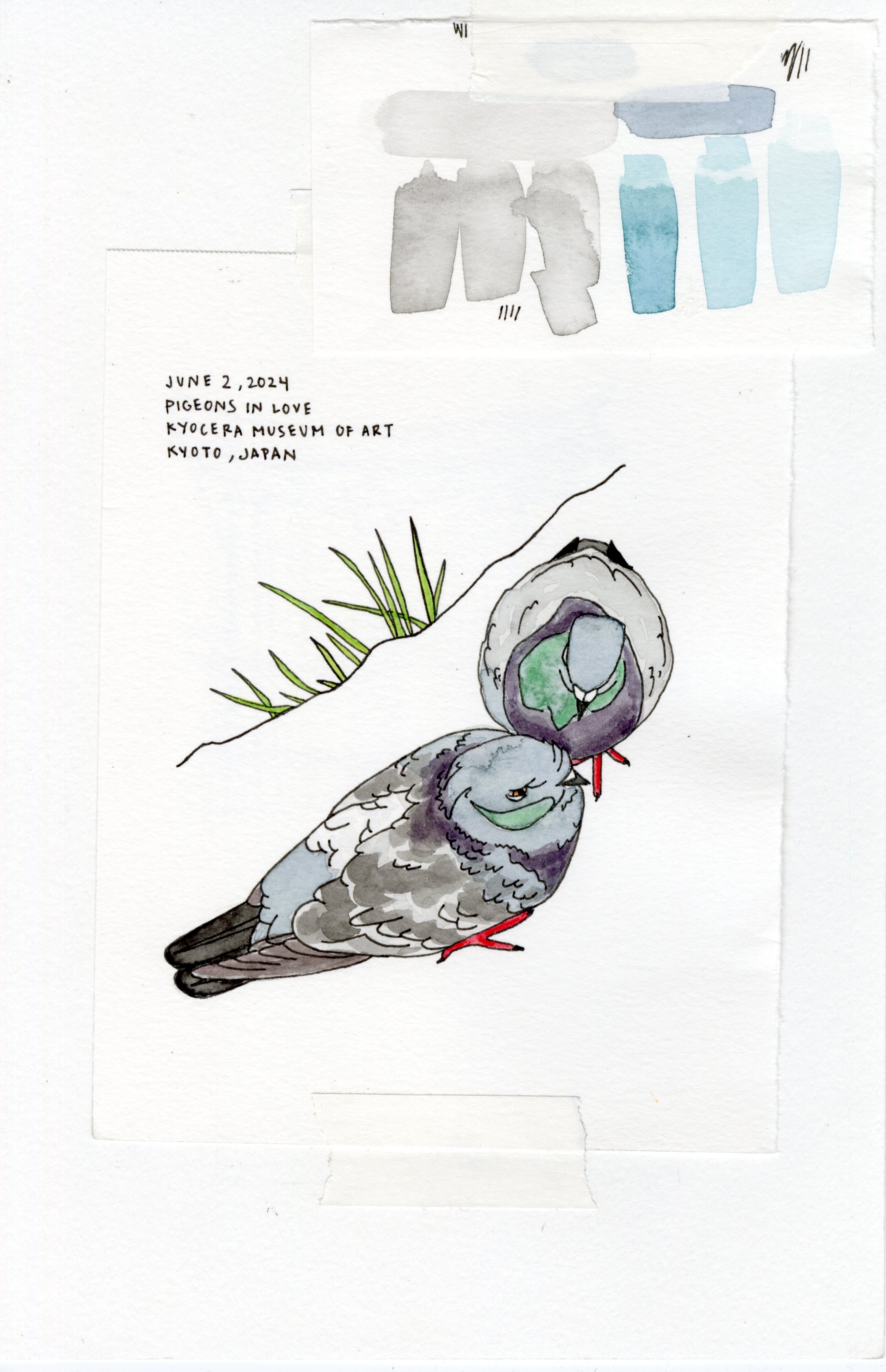 Pigeons in Love