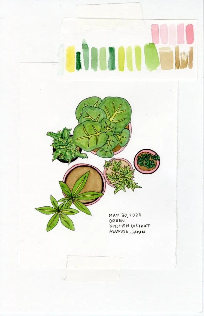 Plants