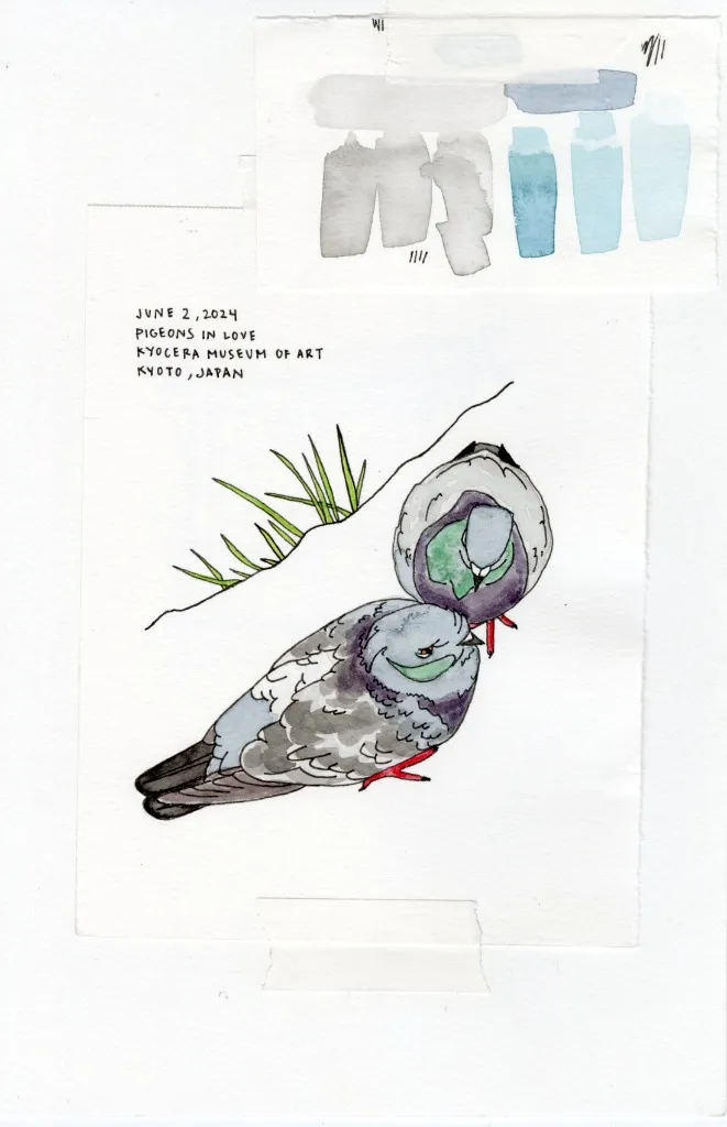 Pigeons in Love