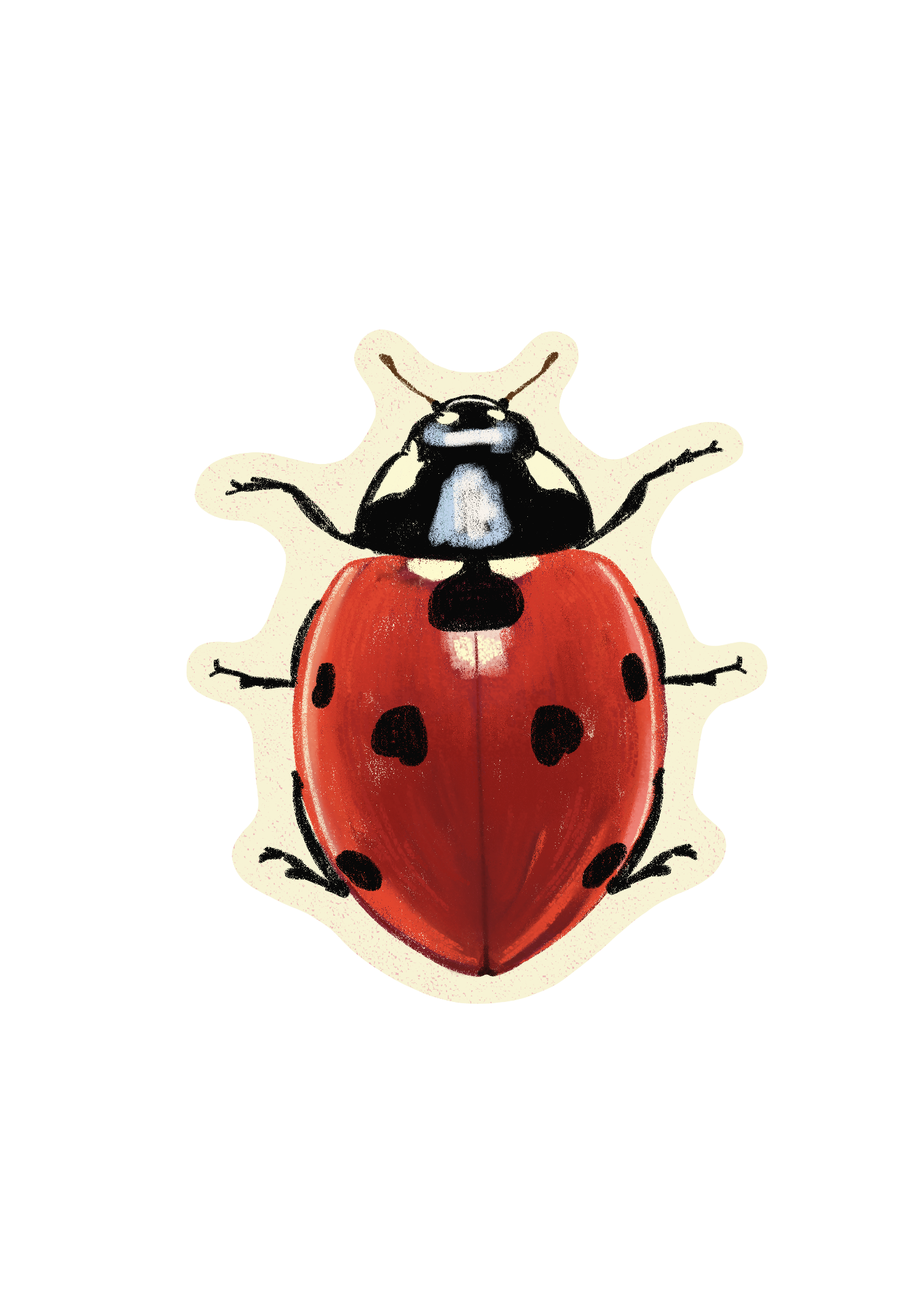 Ladybug sticker