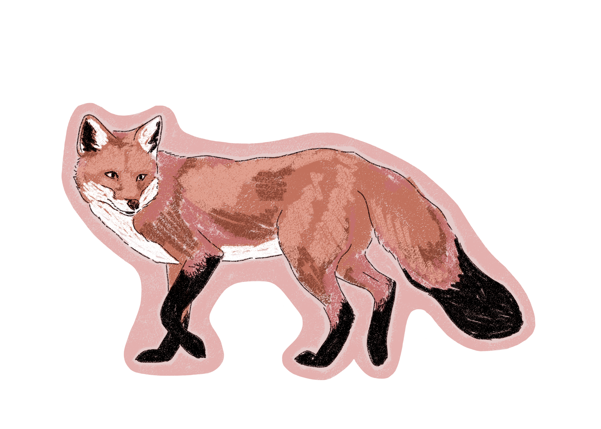 Fox Sticker