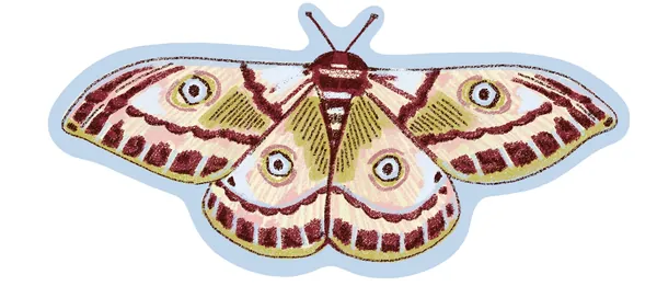 Moth sticker