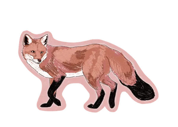 Fox Sticker